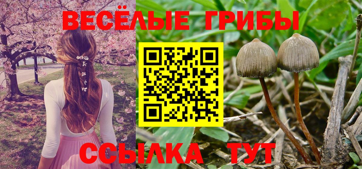 Псилоцибиновые грибы Magic Shrooms Елец