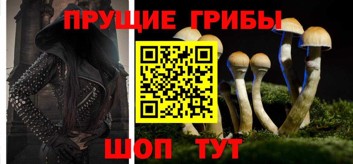 Галлюциногенные грибы мицелий  Вход с VPN  Елец  Псилоцибиновые грибы Psilocybe 